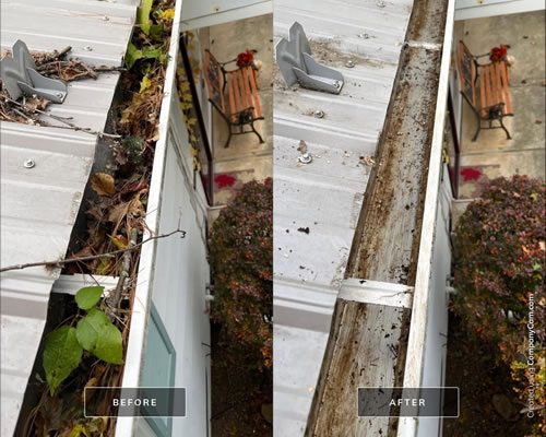 Gutter Cleaning